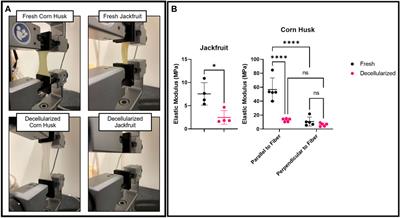 Repurposing agricultural waste as low-cost cultured meat scaffolds